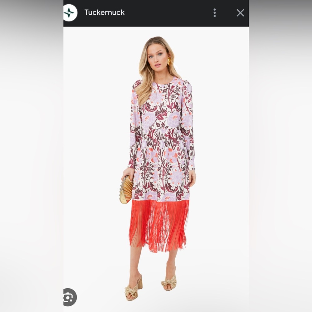 Tuckernuck Fringe Dress